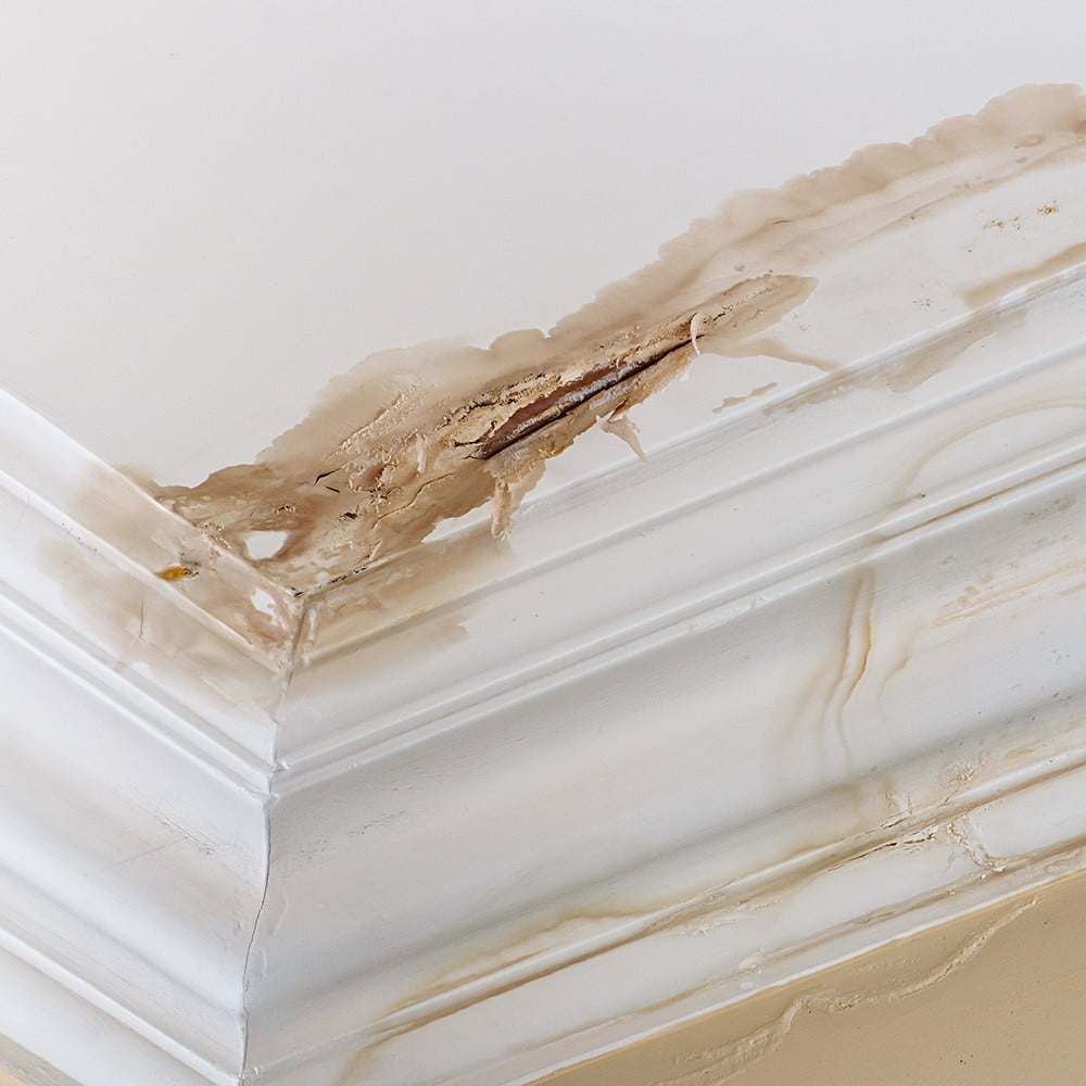 Water damage on white ceiling and crown molding showing discoloration, peeling paint, and visible cracks indicating a possible leak or moisture problem. Consider contacting a roofing contractor for an evaluation and potential roof repair.
